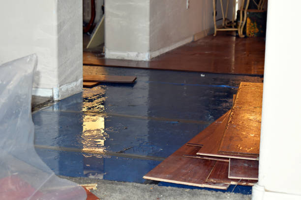 Professional Water Extraction technician working in Falls City, TX